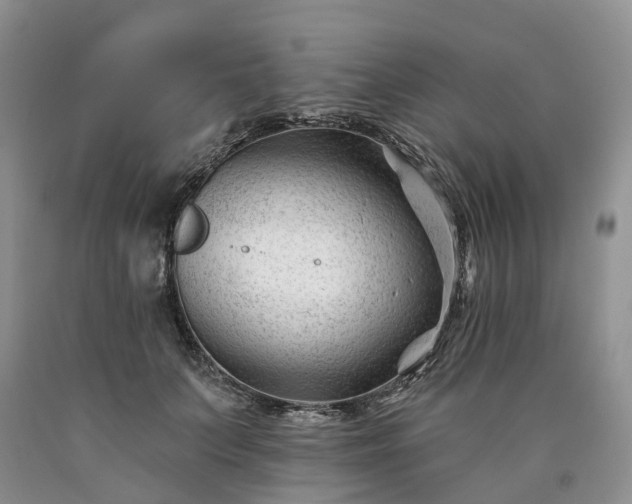 X0000090480703200707201416