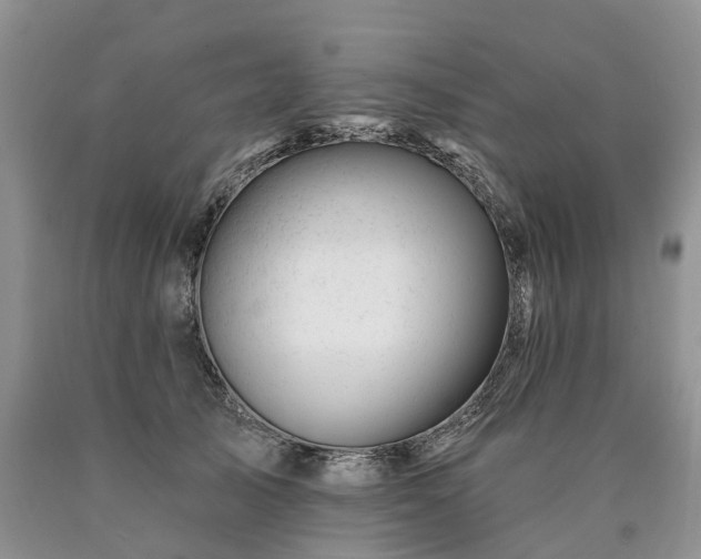 X0000090480705200707201416