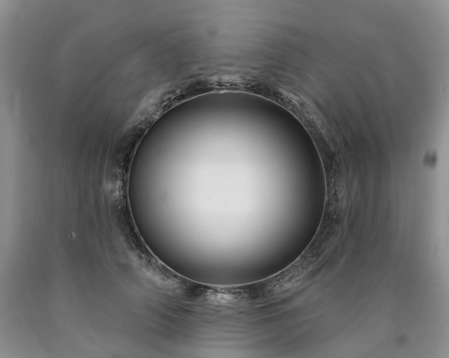 X0000090480706200707201416