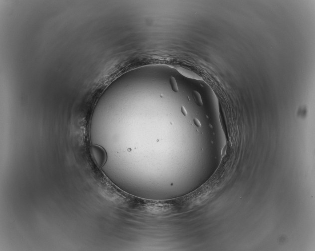 X0000090480707200707201416
