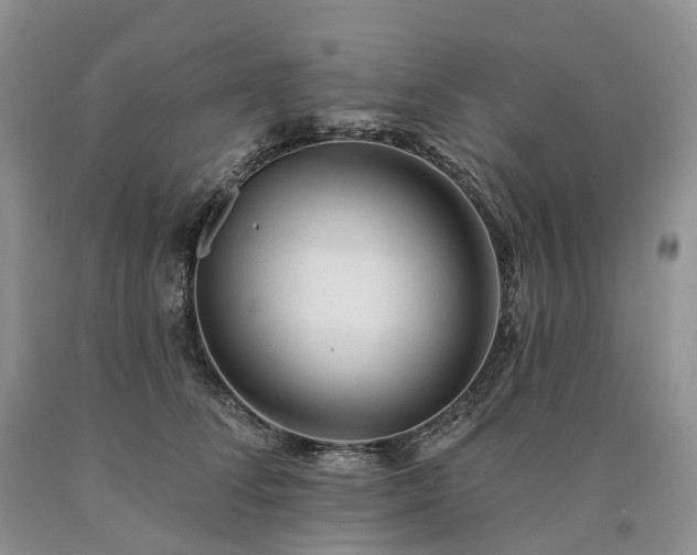 X0000090480708200707201416