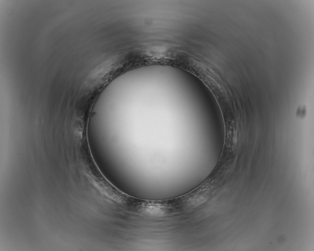 X0000090480710200707201415