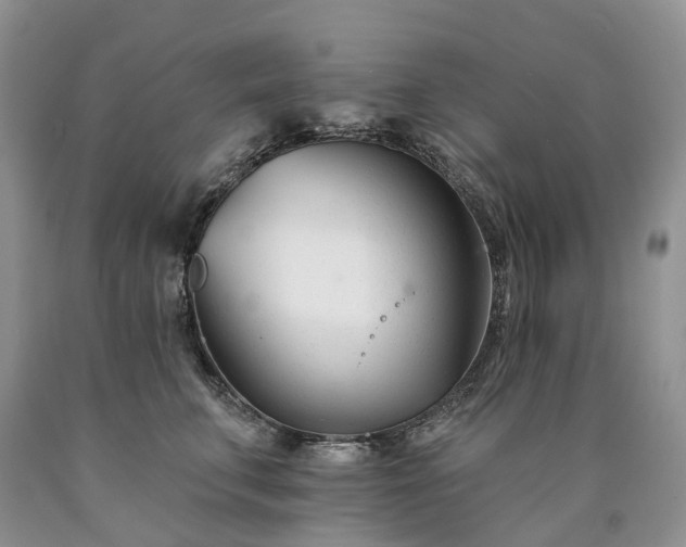 X0000090480711200707201415