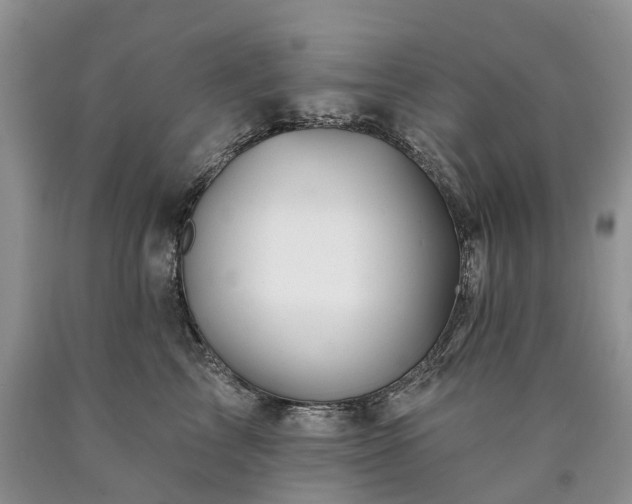 X0000090480713200707201415
