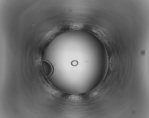 X0000090480714200707201415