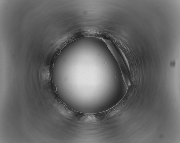 X0000090480715200707201415