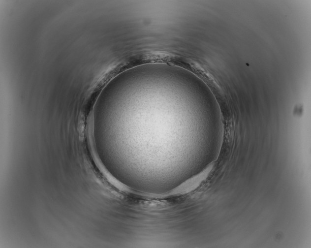 X0000090480716200707201415