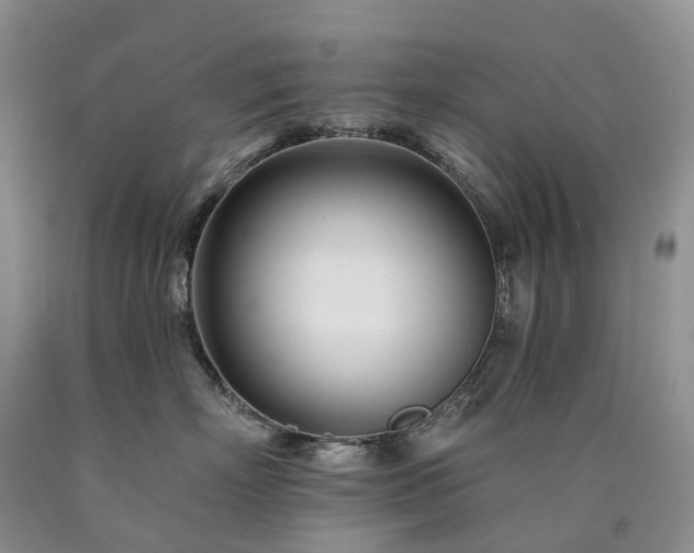 X0000090480718200707201415