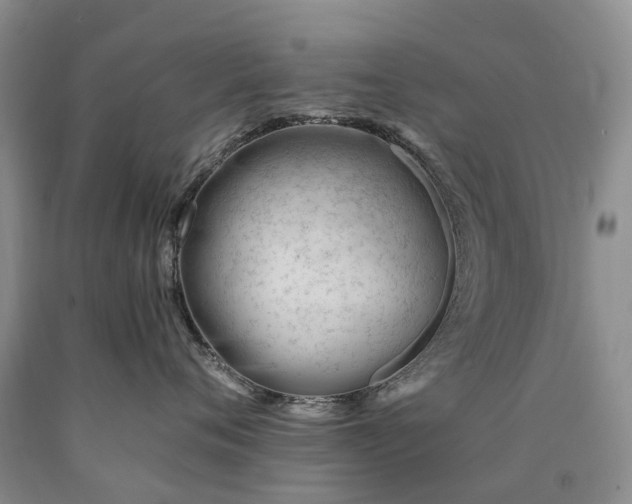 X0000090480720200707201415