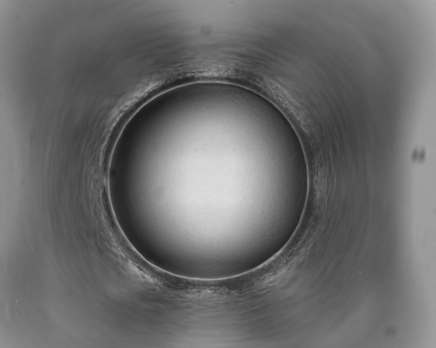 X0000090480721200707201415