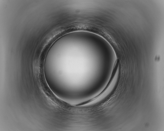 X0000090480722200707201415