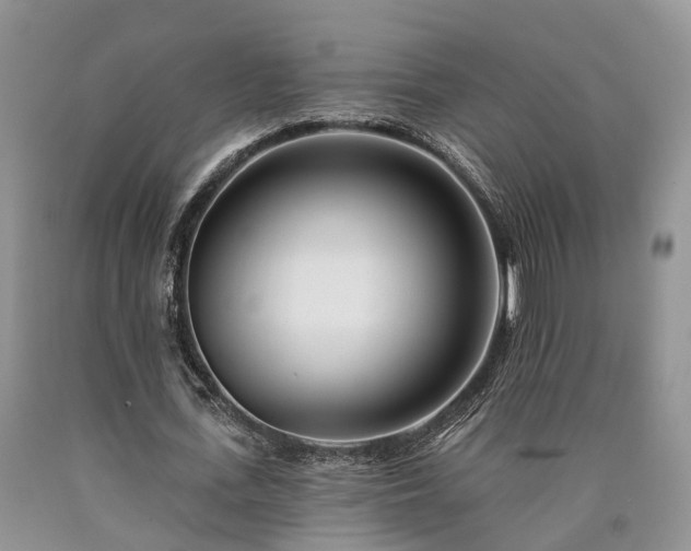 X0000090480723200707201415