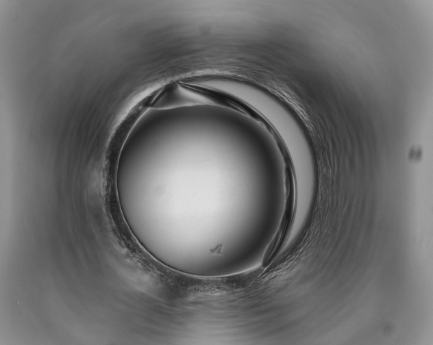 X0000090480724200707201415