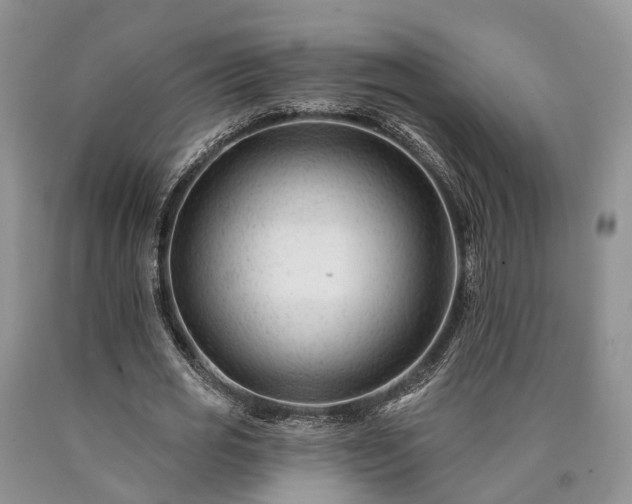 X0000090480725200707201415