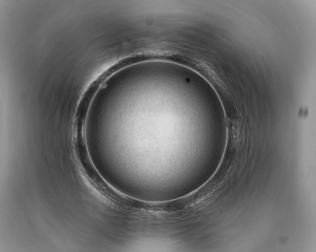 X0000090480726200707201415