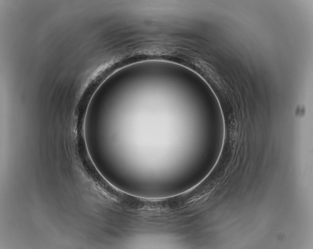 X0000090480727200707201415