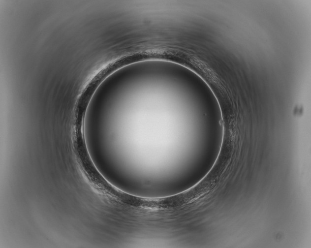 X0000090480728200707201415