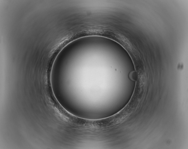 X0000090480729200707201415