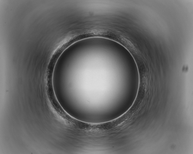 X0000090480730200707201415