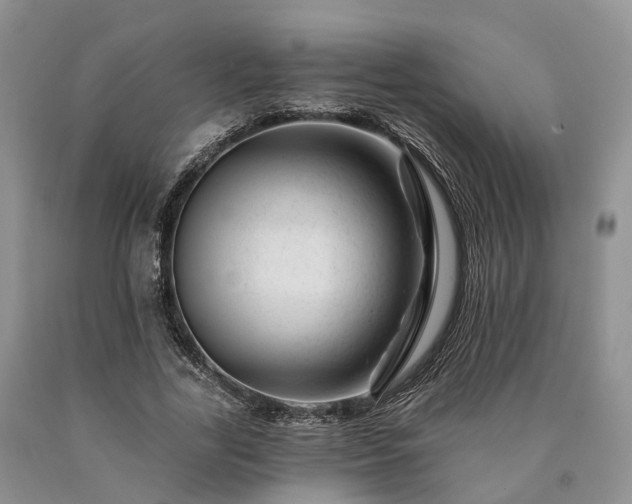 X0000090480731200707201415