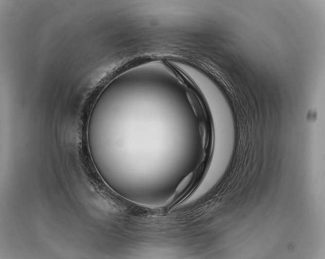 X0000090480732200707201415