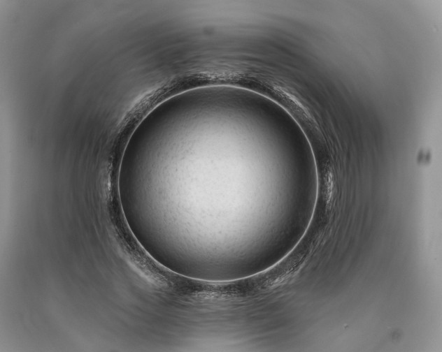 X0000090480733200707201415