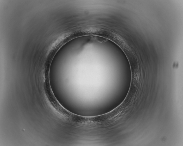 X0000090480734200707201415