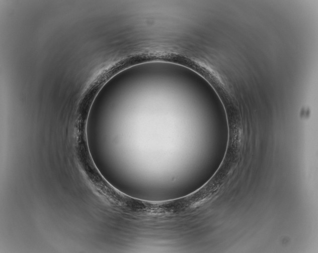 X0000090480736200707201415