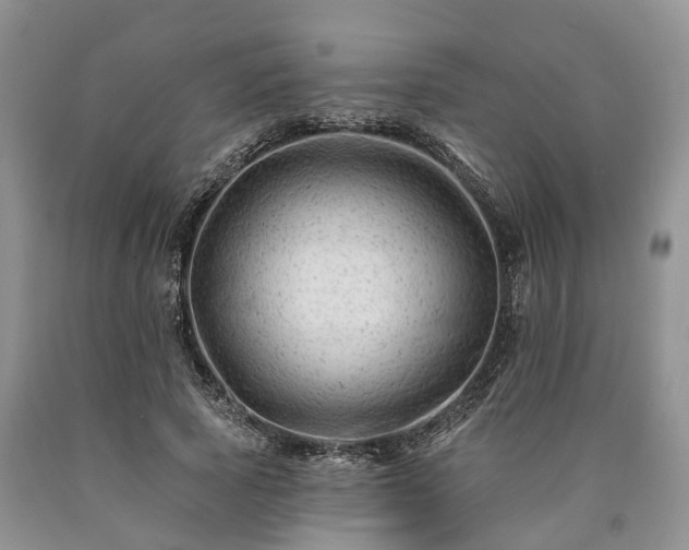 X0000090480737200707201415