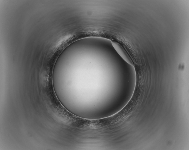 X0000090480739200707201415