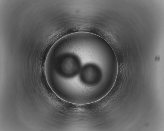 X0000090480741200707201415