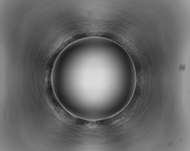 X0000090480742200707201415
