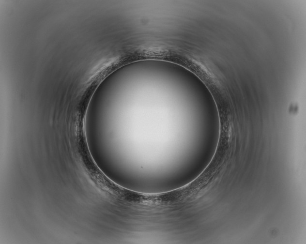 X0000090480744200707201415