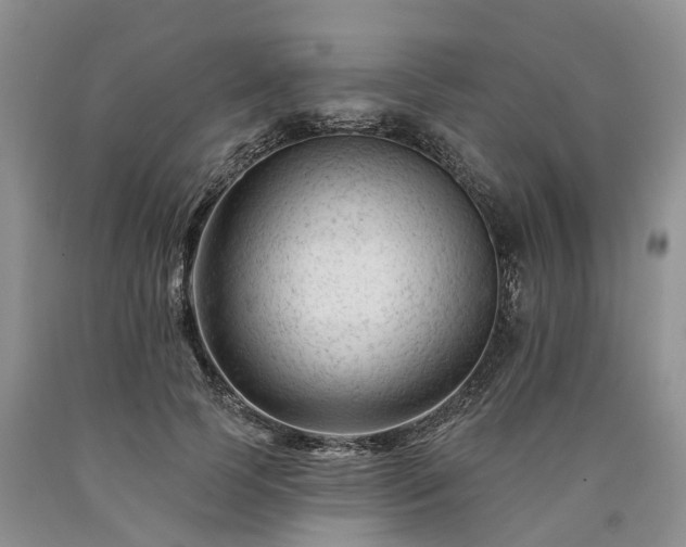 X0000090480745200707201415