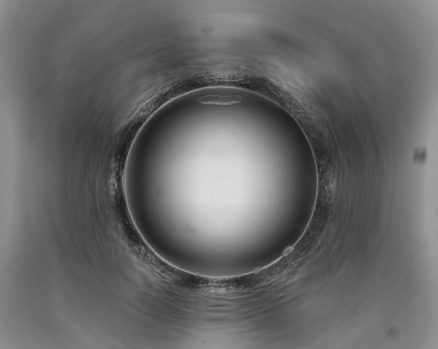 X0000090480746200707201415