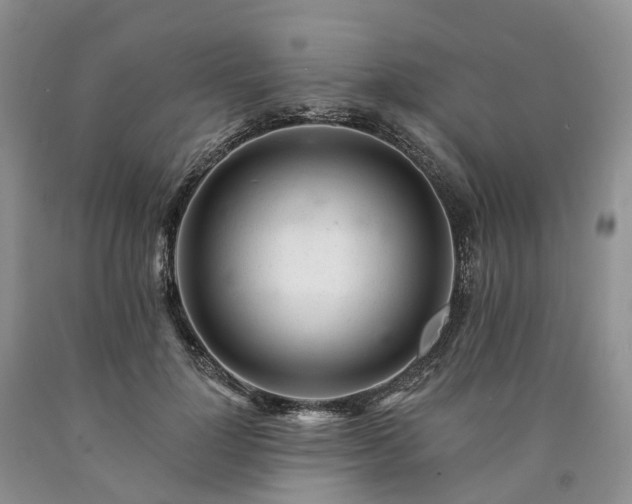 X0000090480748200707201415