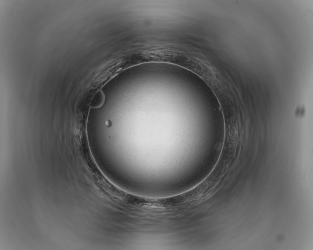 X0000090480749200707201415