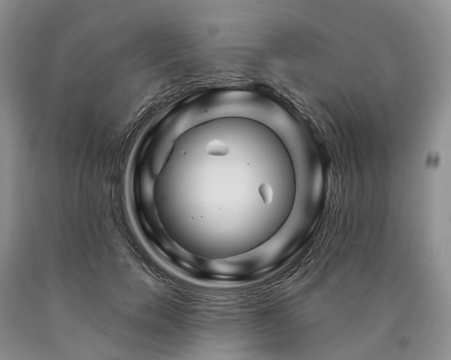 X0000090480750200707201415
