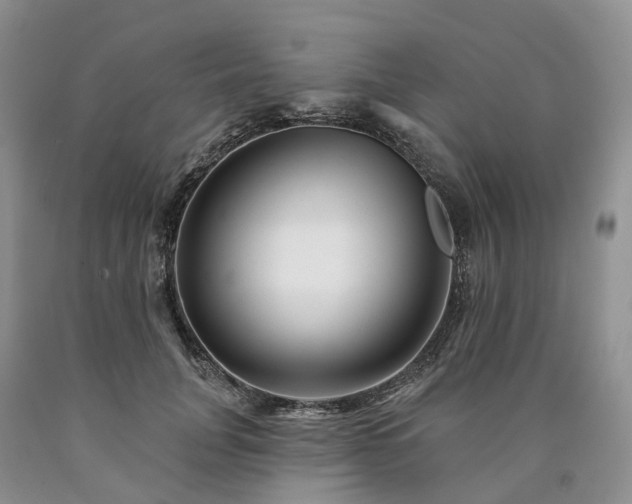 X0000090480751200707201415