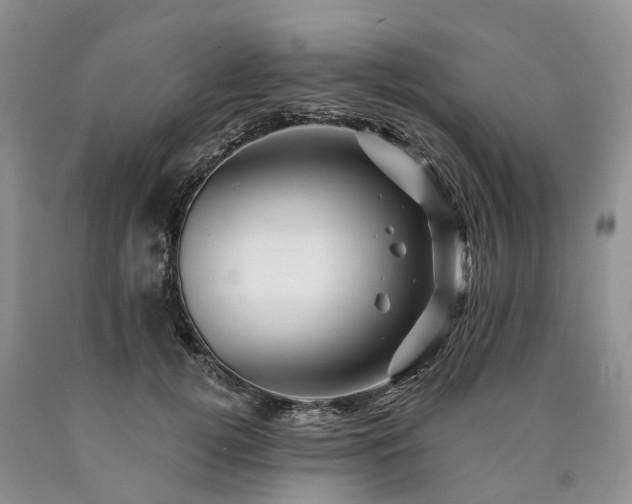 X0000090480752200707201415
