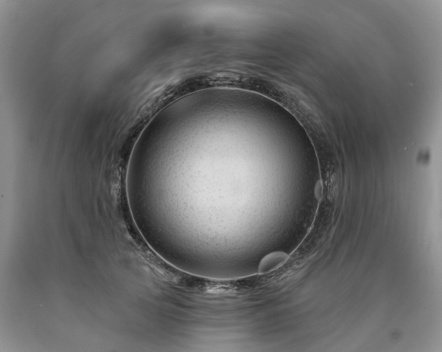 X0000090480753200707201415