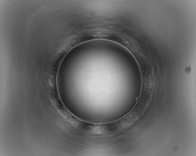 X0000090480755200707201415
