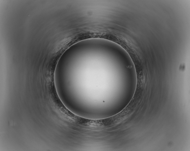 X0000090480756200707201415