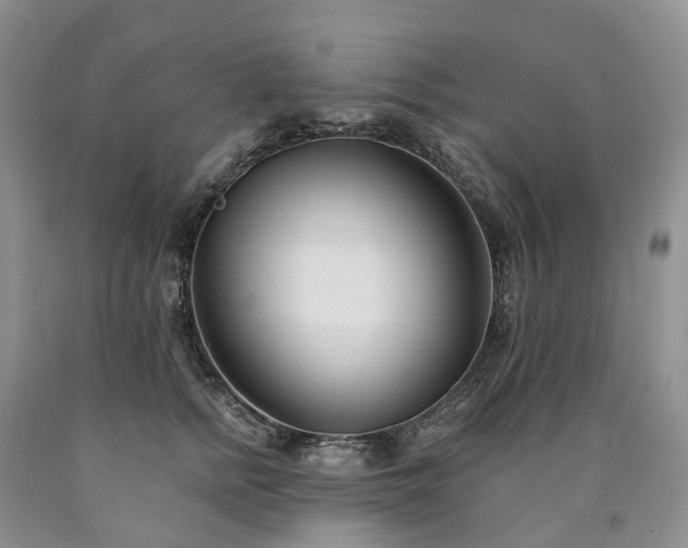 X0000090480758200707201415