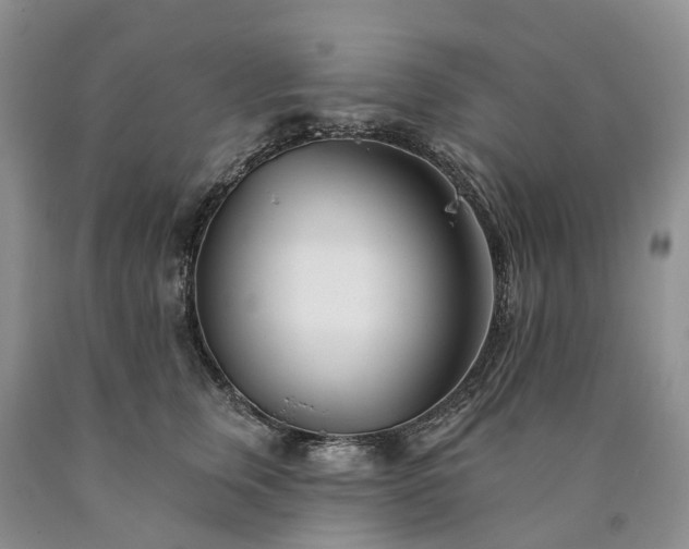 X0000090480759200707201415