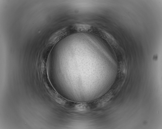 X0000090480761200707201415