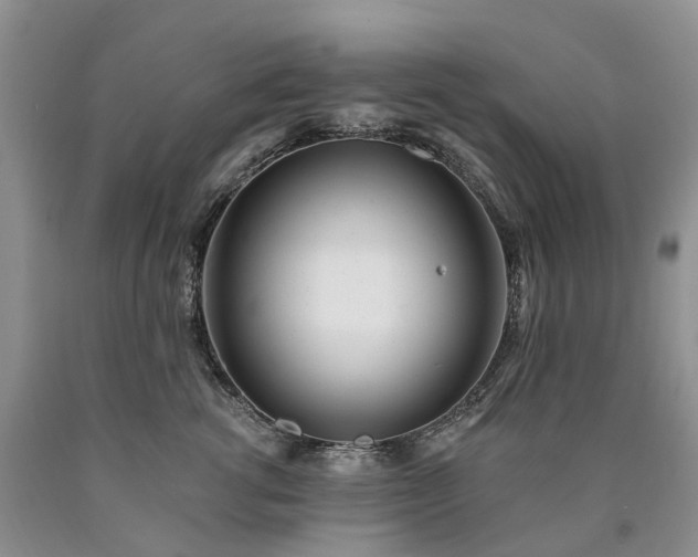 X0000090480762200707201415