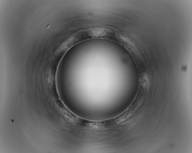 X0000090480763200707201415