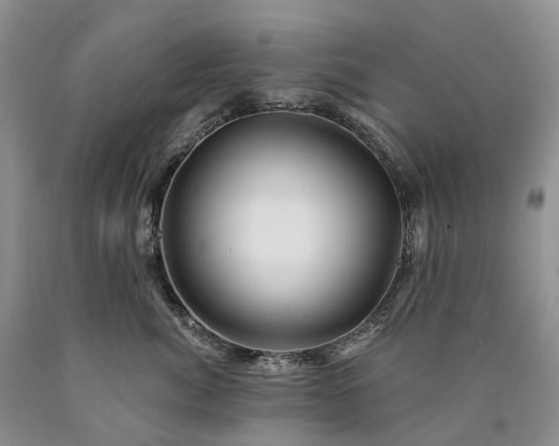 X0000090480764200707201415