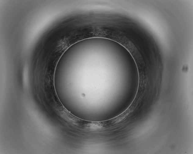 X0000090480765200707201415